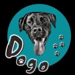 Dogo - Dog Walking Service